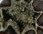 Calcite Crystal Filled Septarian Geode - Utah #37235-2